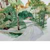 Country_road_thumb