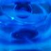 In_to_the_bleu_006_square