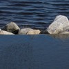 Foto_5_thumb