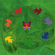 Rainbow_frogs_card