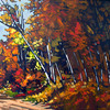 Taffy_s_walk_thumb