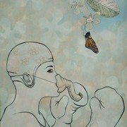 Butterfly5web_card