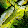 Mahicolor_thumb