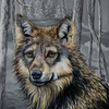 Solitary_wolf_120_copy_thumb