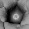 122_thumb