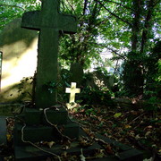 2008_1012arnosvale0068_card