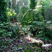 2008_1012arnosvale0113_card