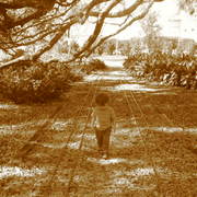Picture_078_card