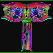 Totem-_t_2_card