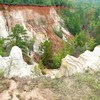 1010_009_thumb