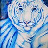 Linz_s_tiger_thumb