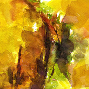 Valley_copy_card