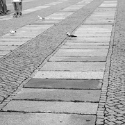Street_card