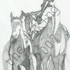 Horses_sketch_small_watermerk_thumb