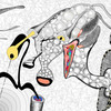 The_critic_b_thumb