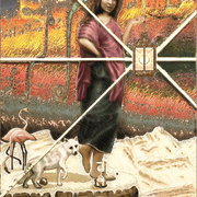 Arcasx_card