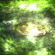 Gallery8-10_card