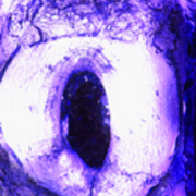Gallery8-12_card