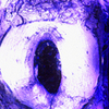 Gallery8-12_thumb