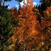 Img_3658_thumb