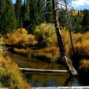 Img_3717_card