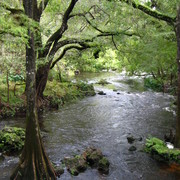 Picture_013_card