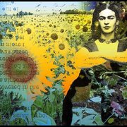 Sunnyfrida_card