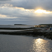 Img_0036_card