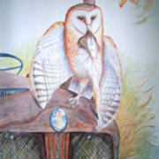 Barn-owl-roger-farr_card