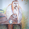 Barn-owl-roger-farr_thumb
