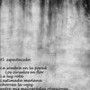 Paredes_viejas_5bn_copia_thumb