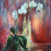 P9261117_card
