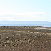 Img_0003_card