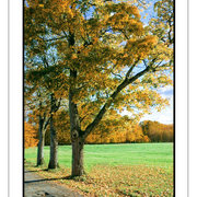 Höst1webb-copy_card