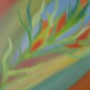 Dsc07080_card