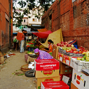 Jaipur_card
