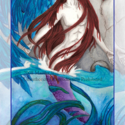 In_the_time_of_the_butterflies_card