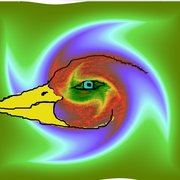 The_colored_duck_card