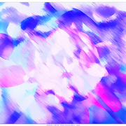 Angel_view_card
