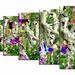 Coraux_1_square