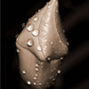 126_sm_thumb