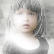 Poppelight4webb_card