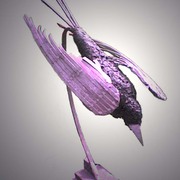 Dsetu_card