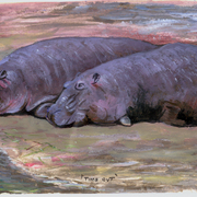 Hippos_roger_farr_card