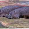 Hippos_roger_farr_thumb