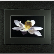 A1000582-f_card