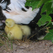 Picture_1140_card