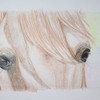 100_1047_thumb