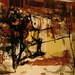 Portfolio_006_square