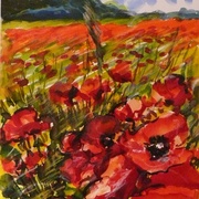 The_poppy_field_card
